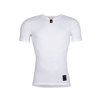 Arctic White
