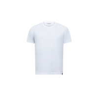 Arctic White