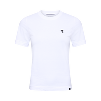 Arctic White